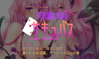 Fushigi no Kuni no Succubus